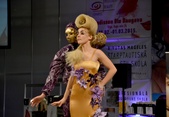 Latvijas stilistu asociācija Baltic Beauty 2014 ietvaros aizvadīja trīs konkursus