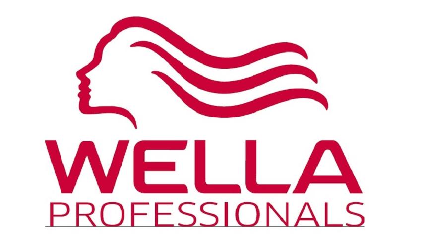 Базовый семинар Wella Professionals – краски