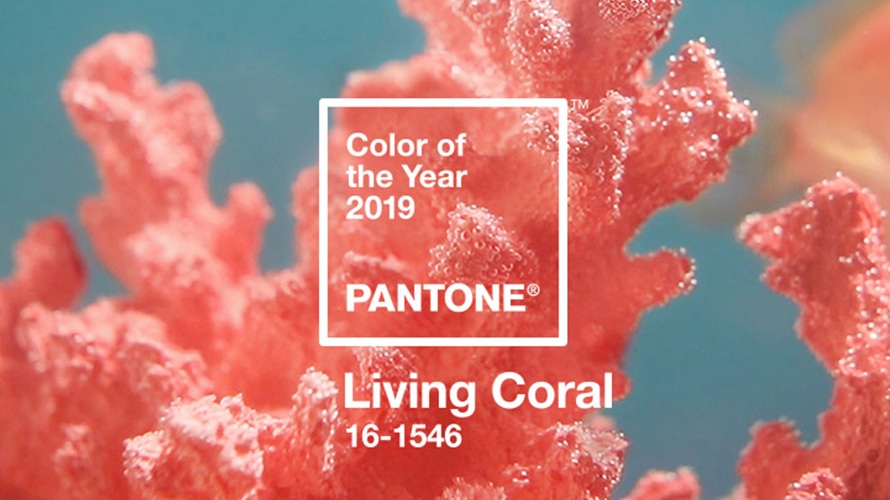 living-coral-intensa.pro